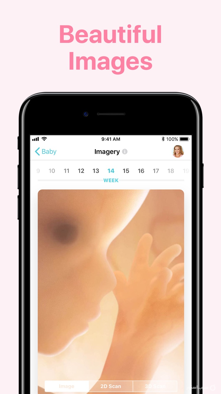 Pregnancy + screenshot 1
