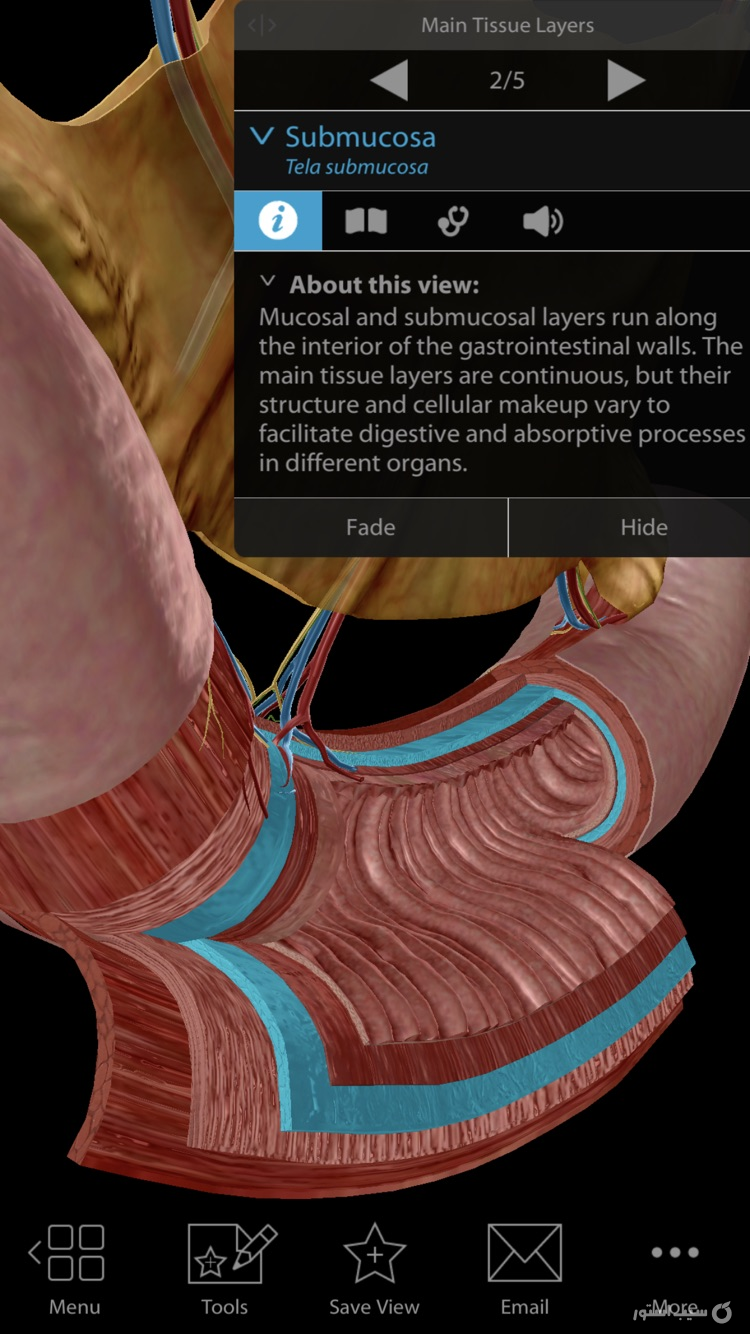 Physiology & Pathology screenshot 6