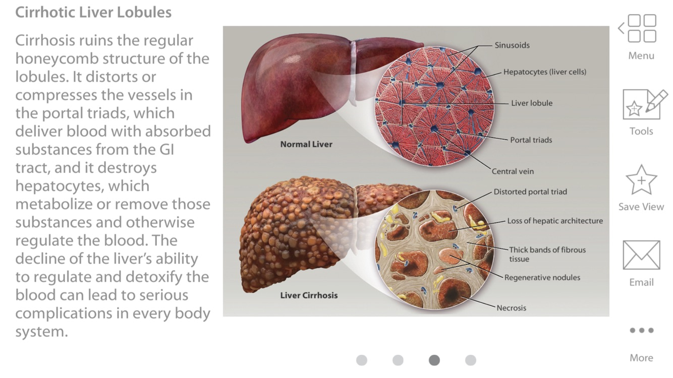 Physiology & Pathology screenshot 10