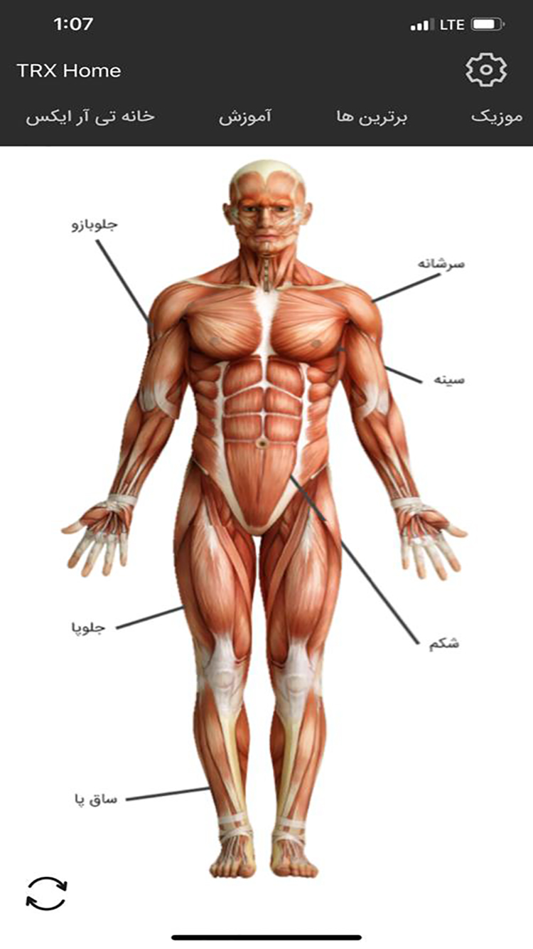 TRXHome screenshot 3