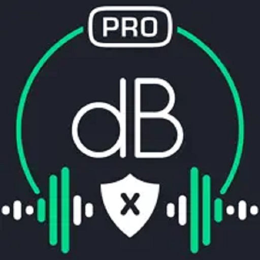 Decibel X PRO: dBA Noise Meter ++ icon