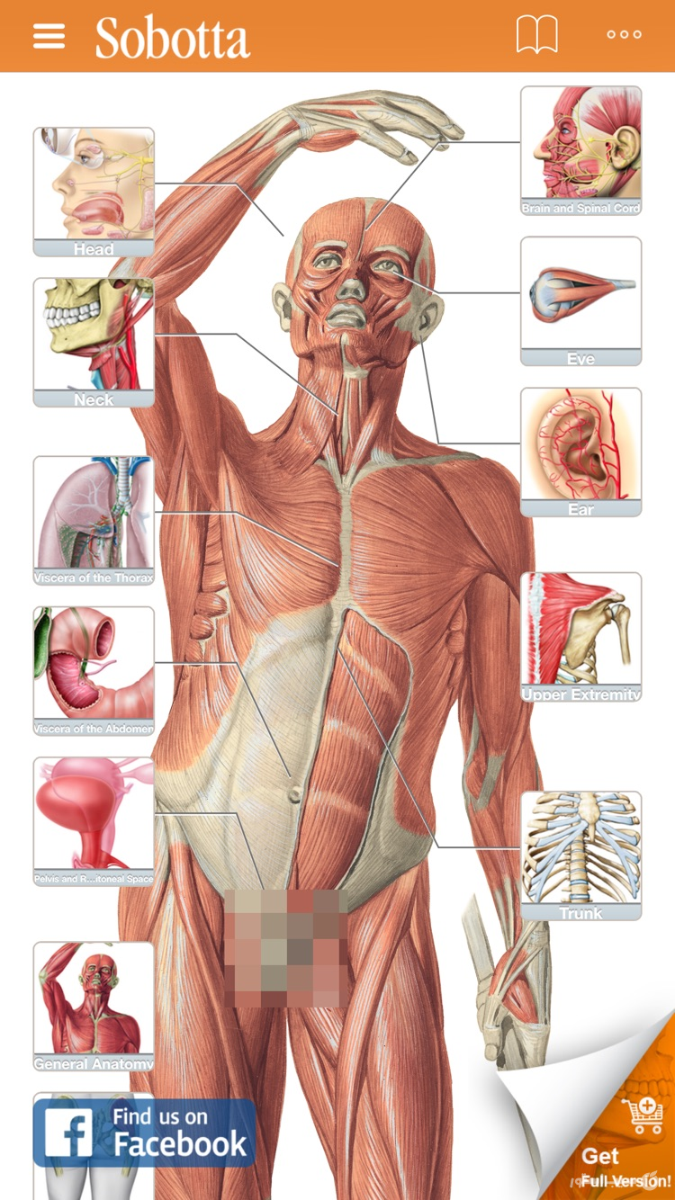 Sobotta Anatomy screenshot 1