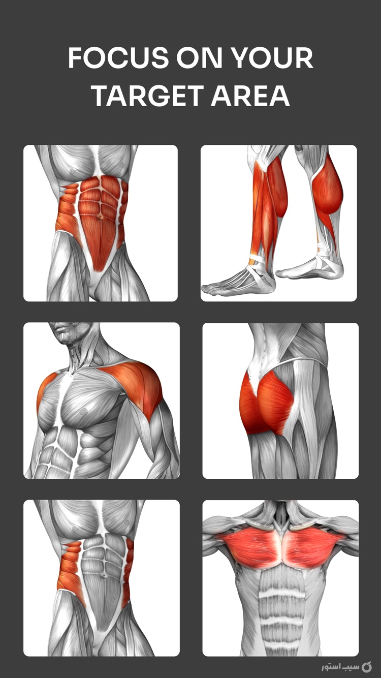 Home Workout Planner & Coach ++ screenshot 3