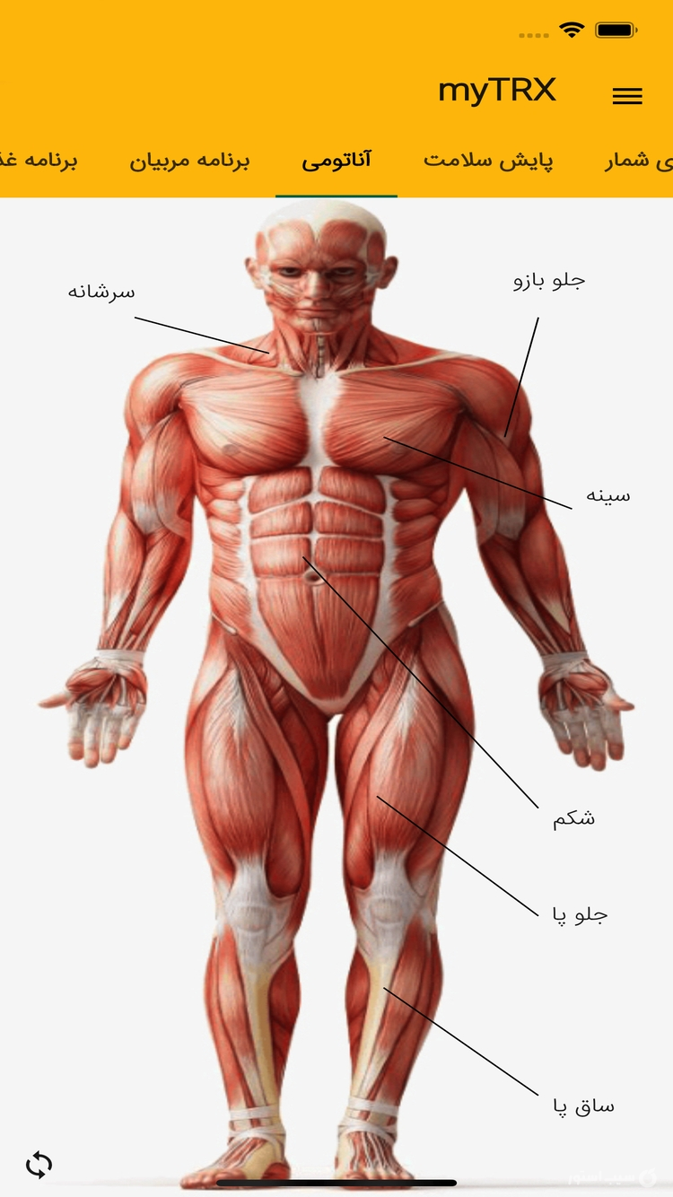 myTRX دانلود برنامه نرم افزار آموزش تی آر ایکس TRX screenshot 3