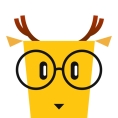 LingoDeer  ++ icon