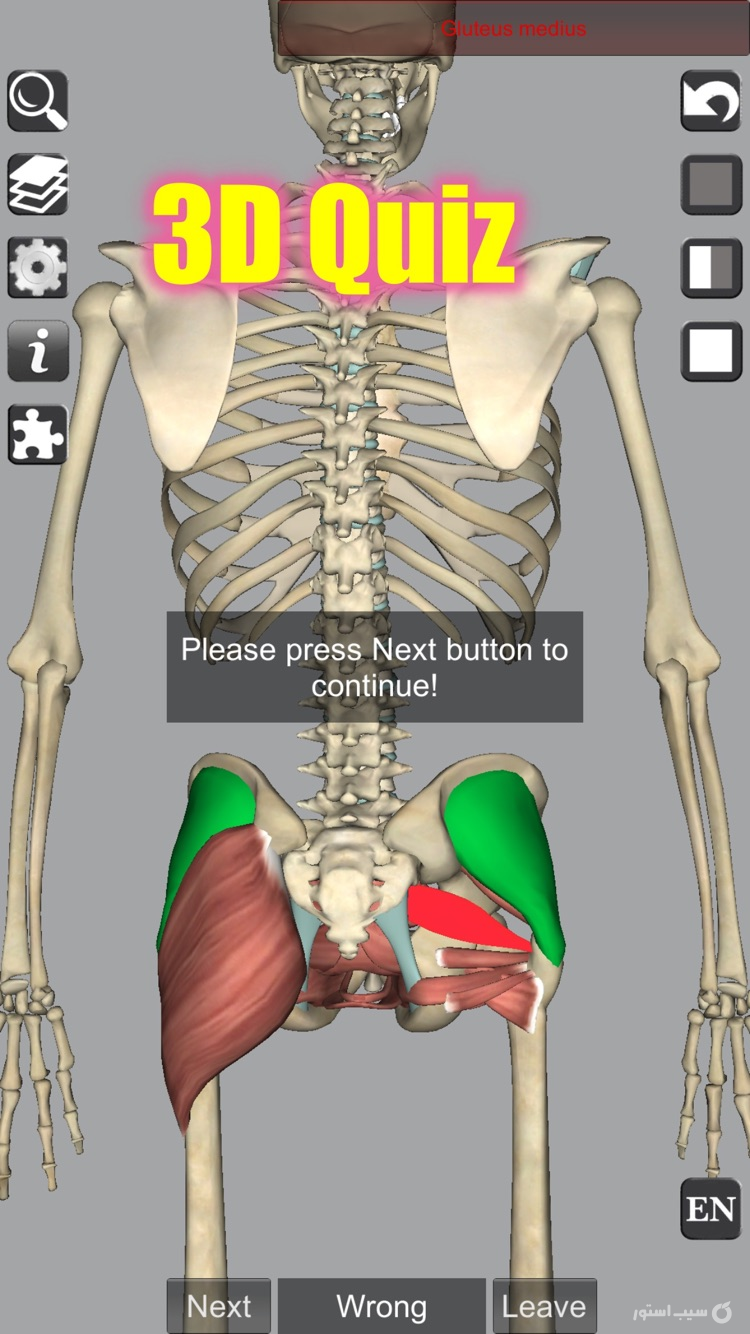 3D Anatomy screenshot 10