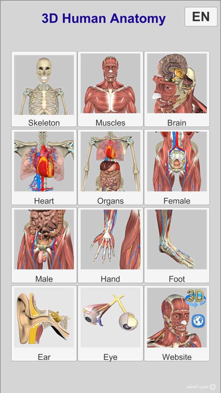 3D Anatomy screenshot 3