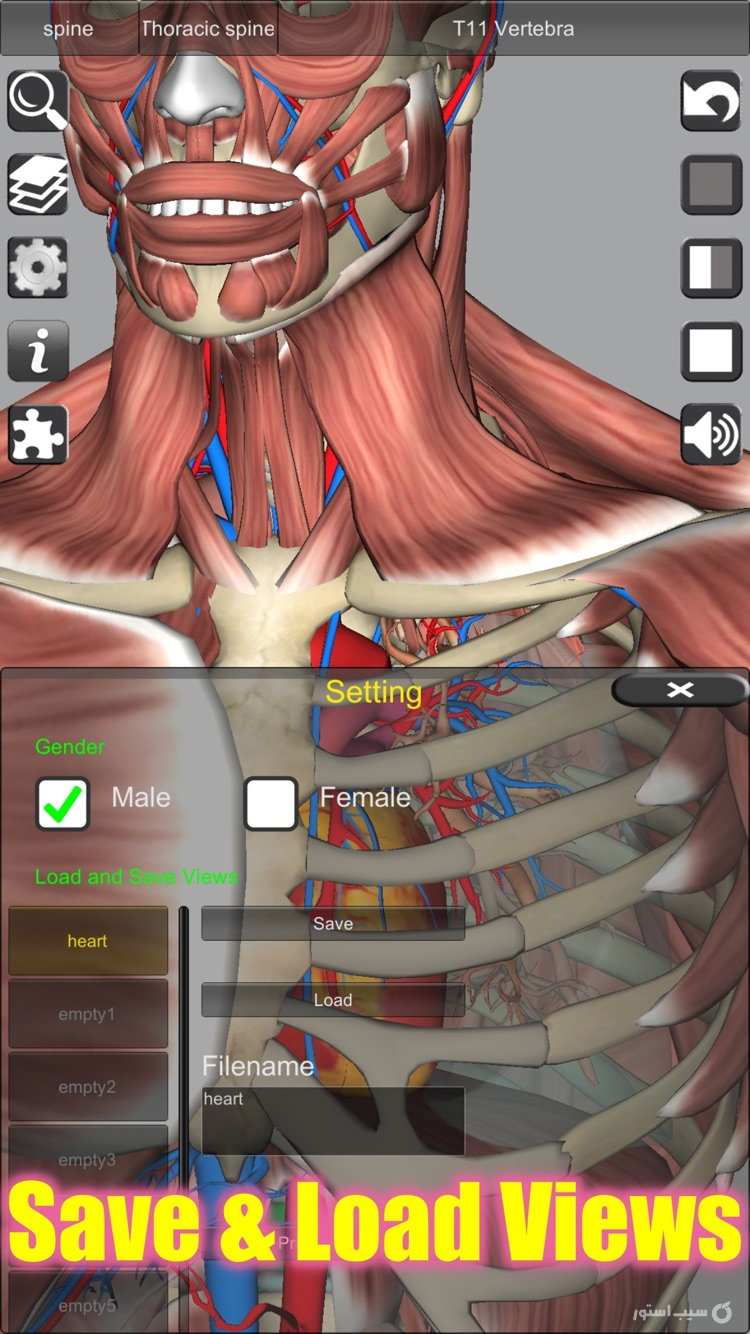 3D Anatomy screenshot 4