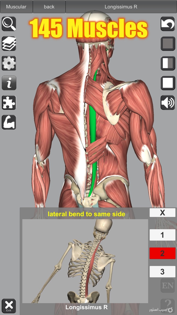 3D Anatomy screenshot 2