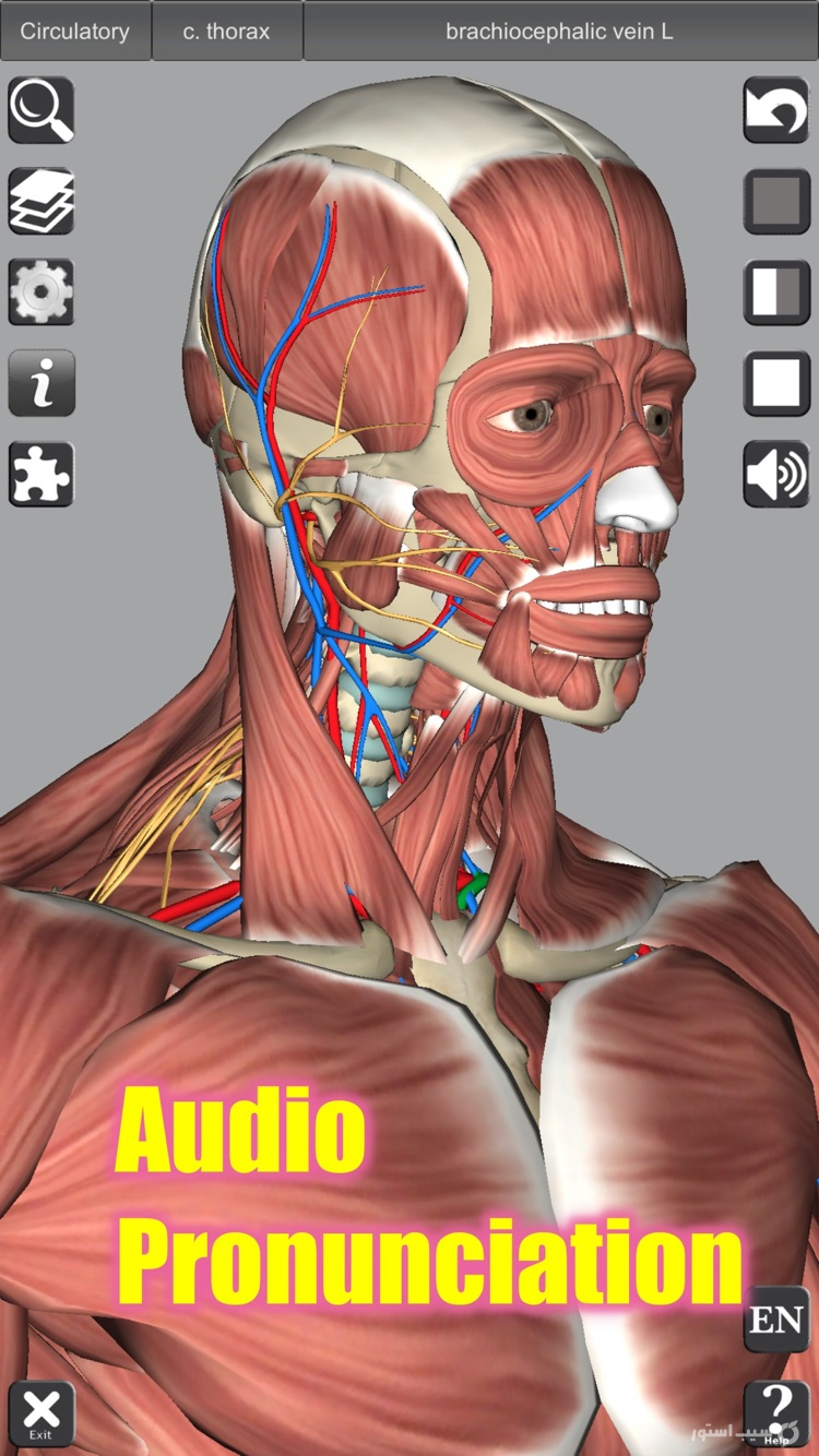 3D Anatomy screenshot 6