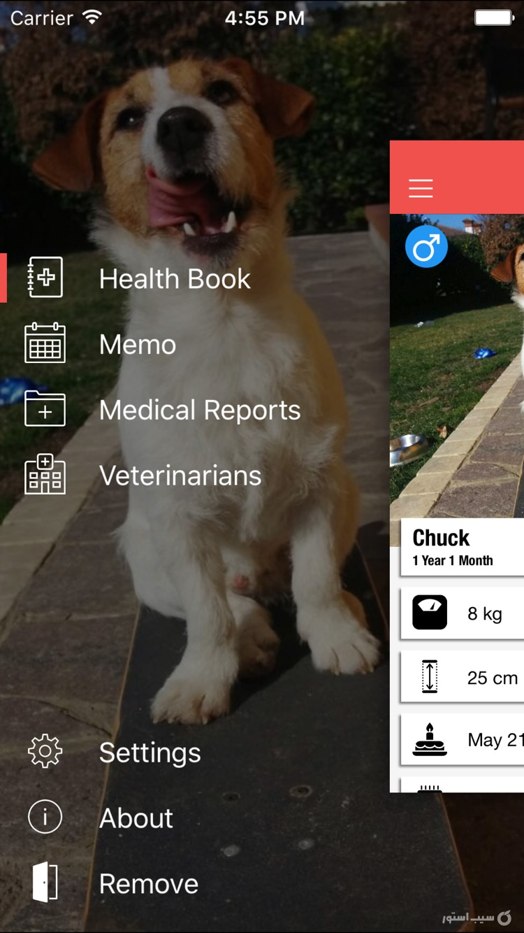 Dog Health - Take care of your puppy screenshot 2