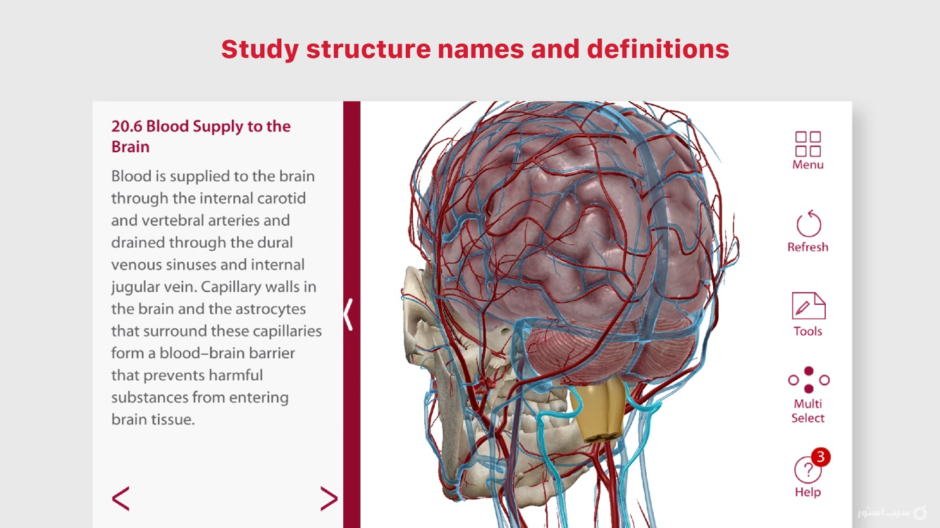 Anatomy & Physiology screenshot 4