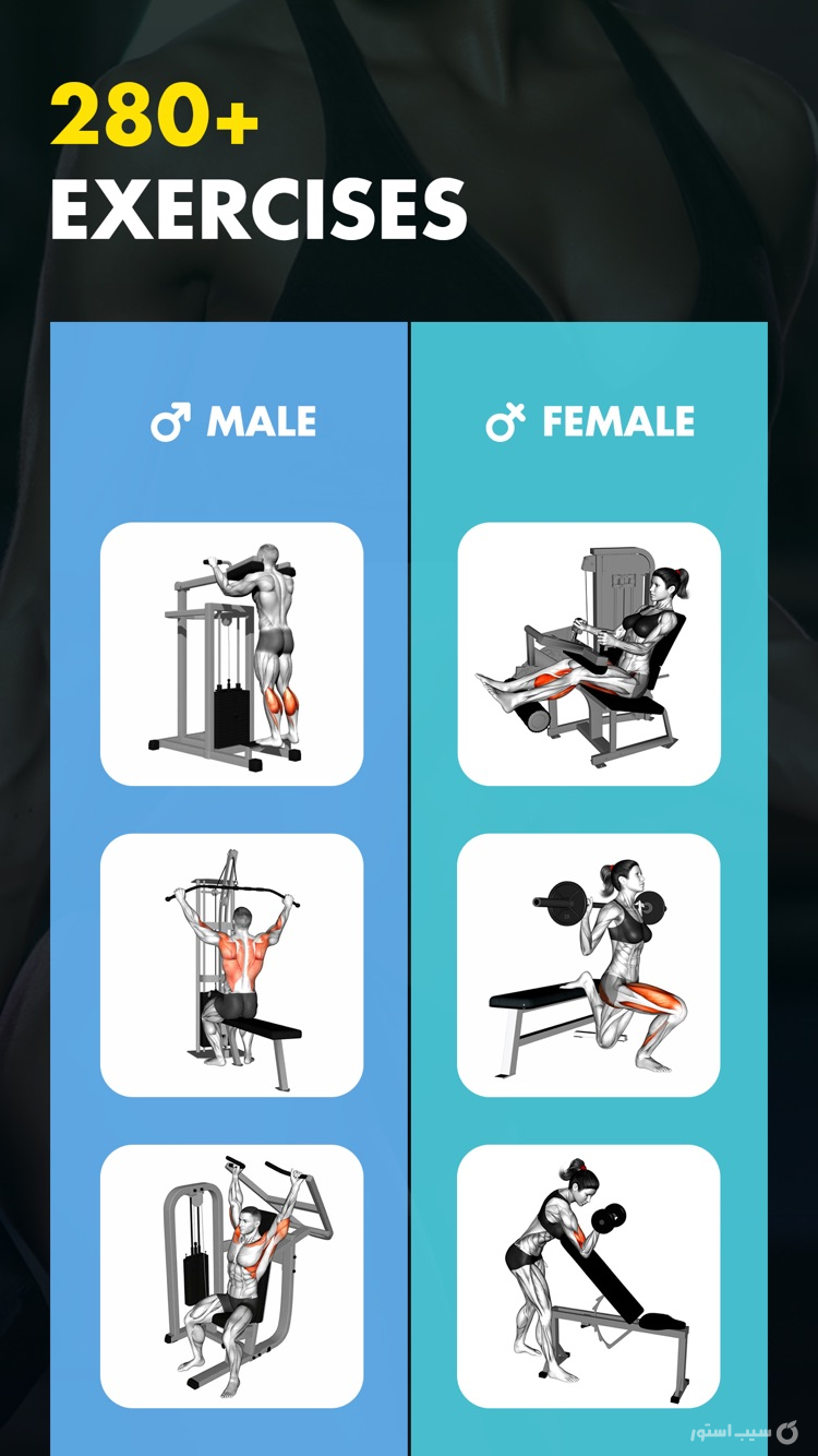 Gym Workout My Fitness Planner ++ screenshot 3