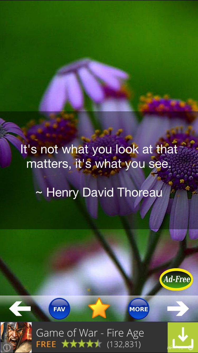 Inspirational Quotes & Sayings screenshot 2