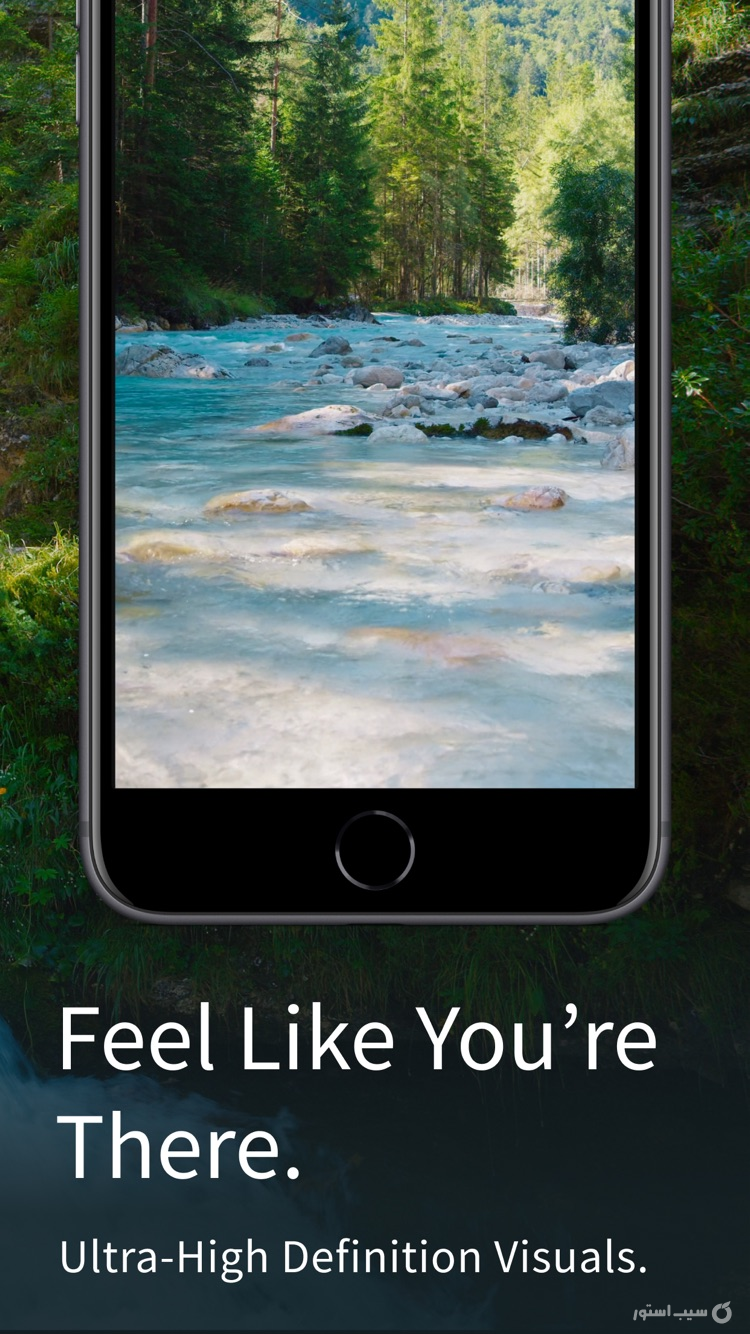 Portal: Escape Into Nature screenshot 4
