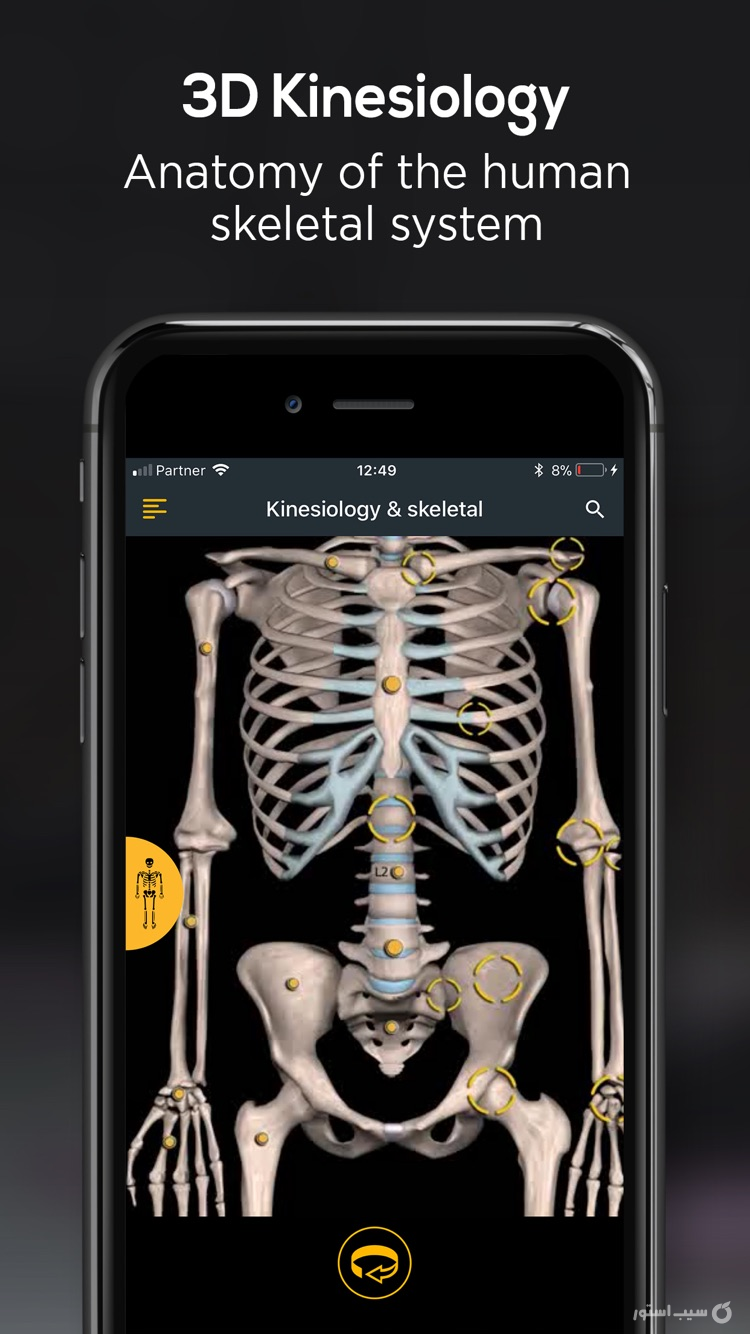 Anatomy by Muscle & Motion ++ screenshot 4