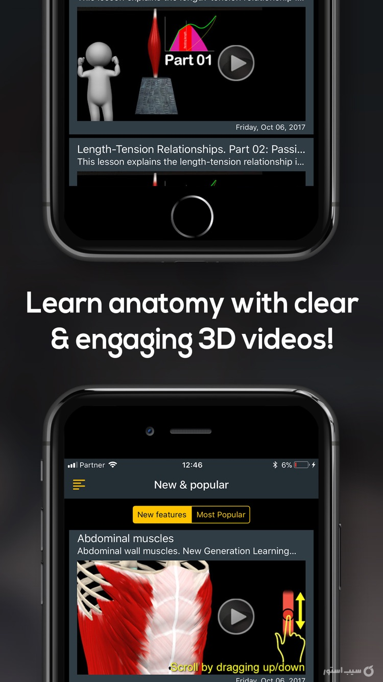 Anatomy by Muscle & Motion ++ screenshot 2