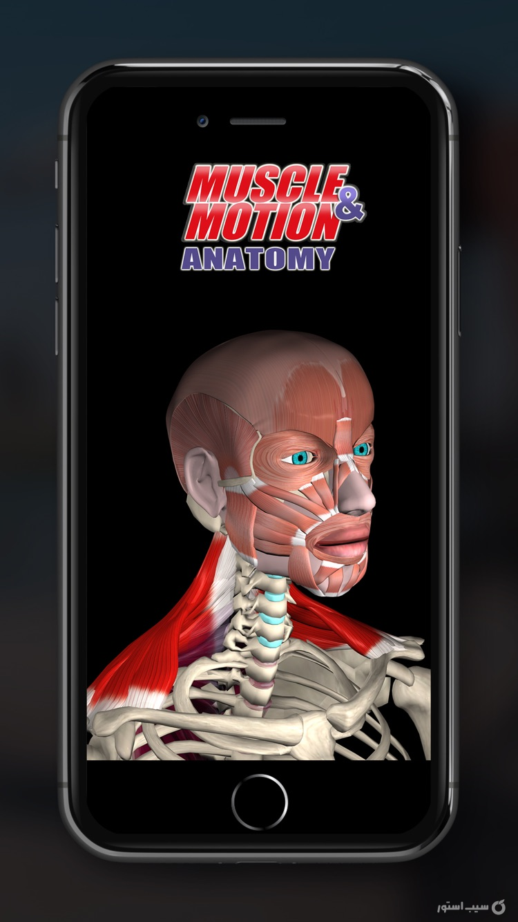 Anatomy by Muscle & Motion ++ screenshot 1