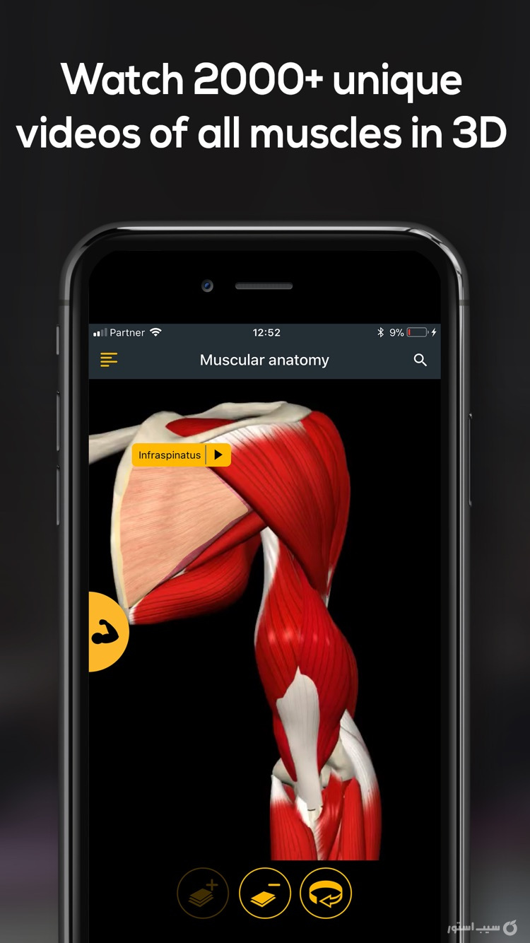 Anatomy by Muscle & Motion ++ screenshot 5
