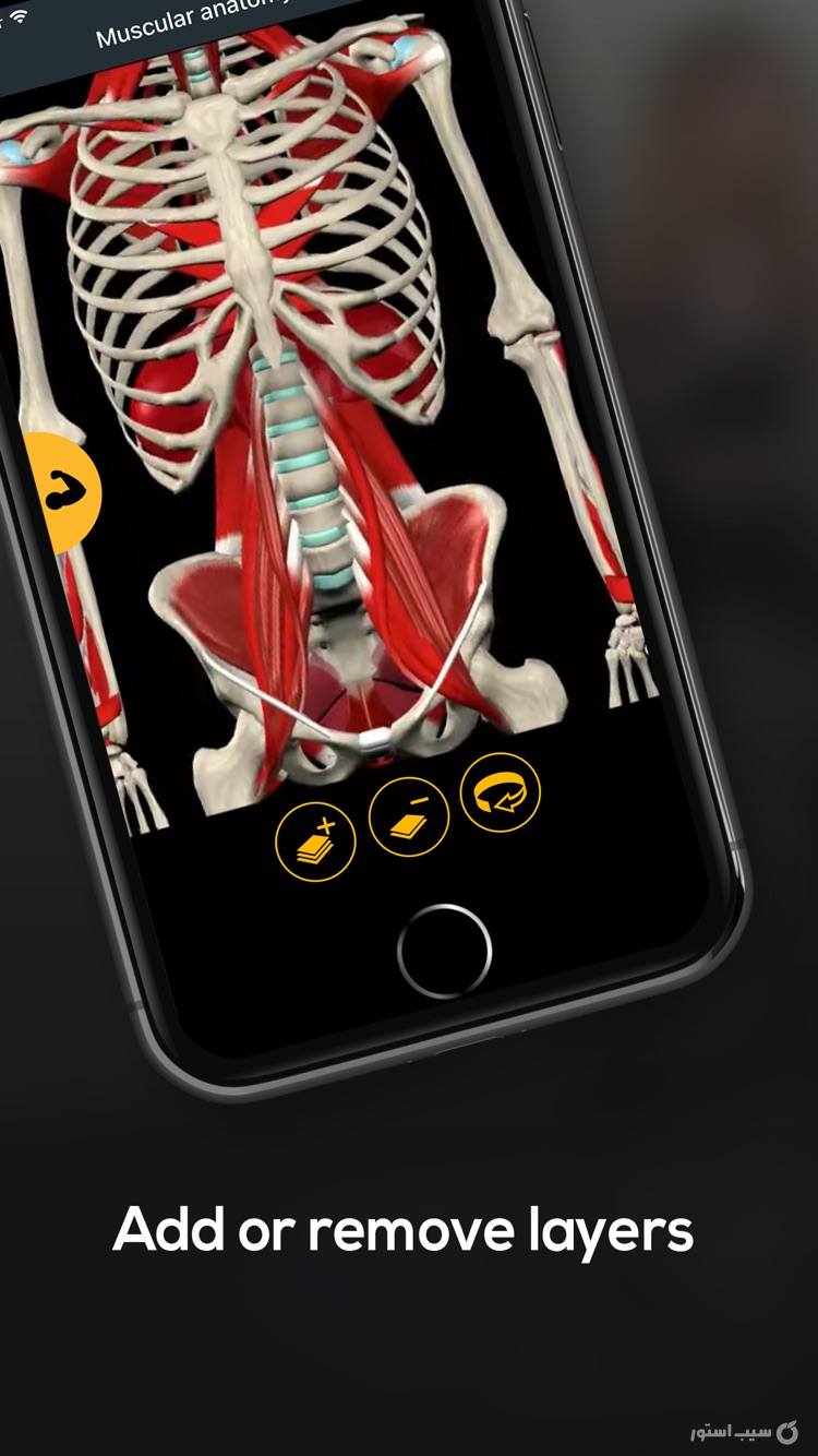 Anatomy by Muscle & Motion ++ screenshot 7