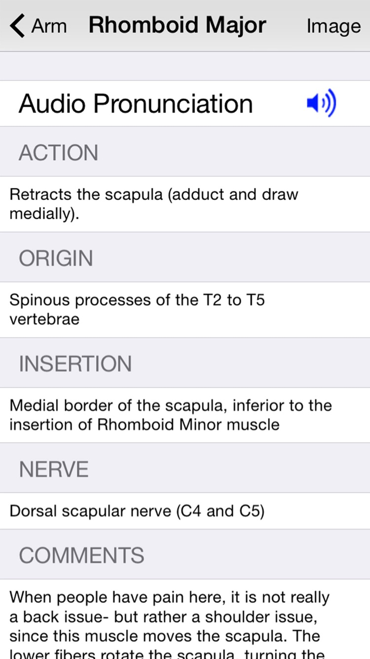 Learn Muscles: Anatomy screenshot 5