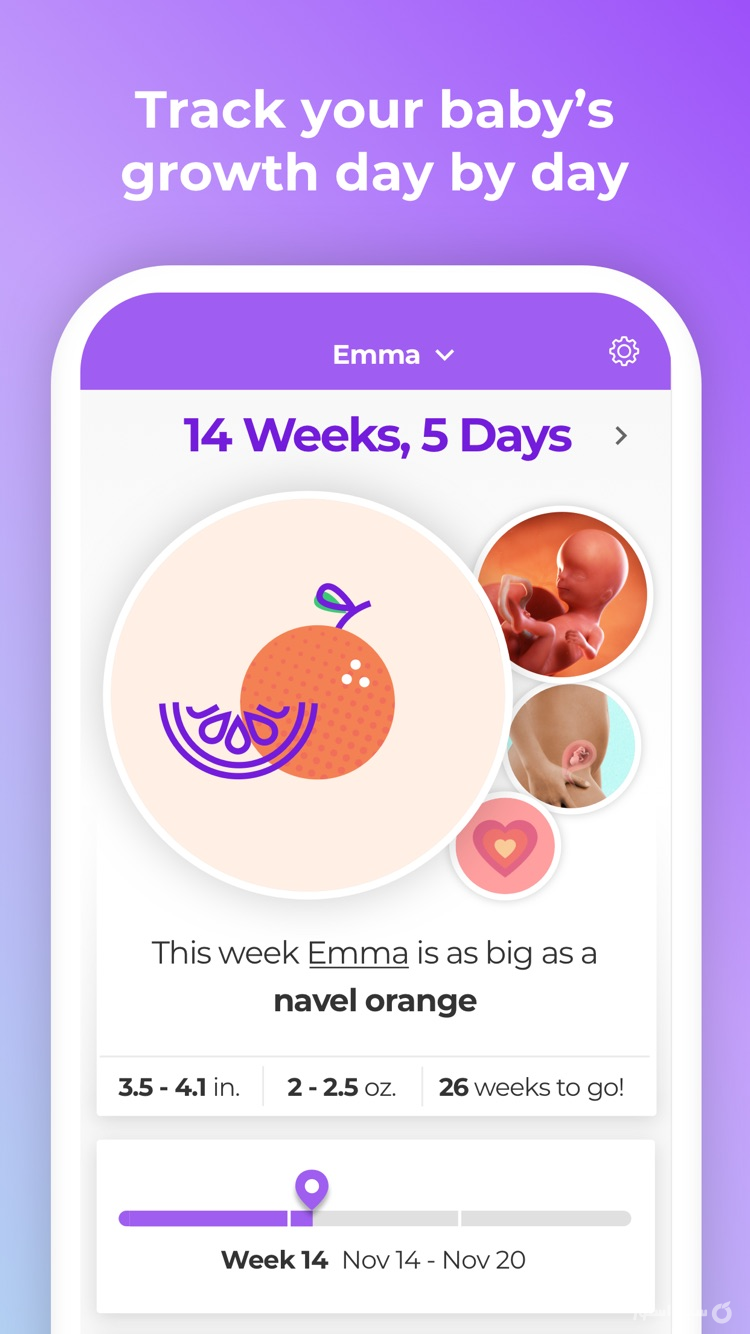 Pregnancy & Baby Tracker WTE screenshot 1