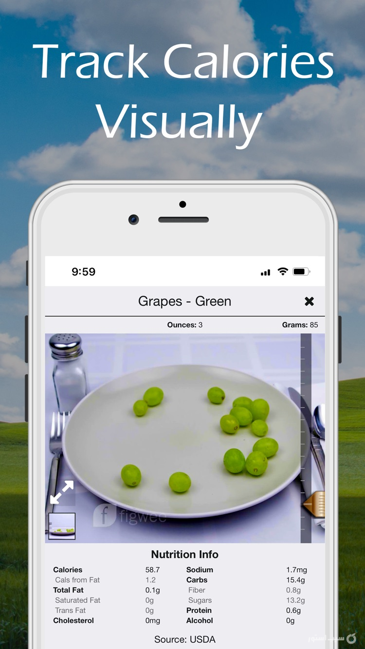 Figwee Visual Food Diary screenshot 1