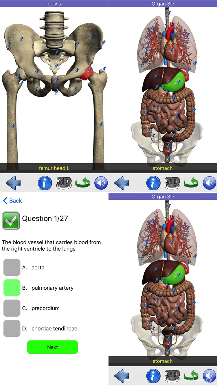 Visual Anatomy screenshot 13