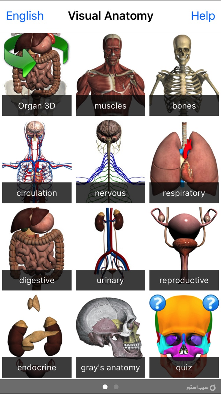 Visual Anatomy screenshot 1