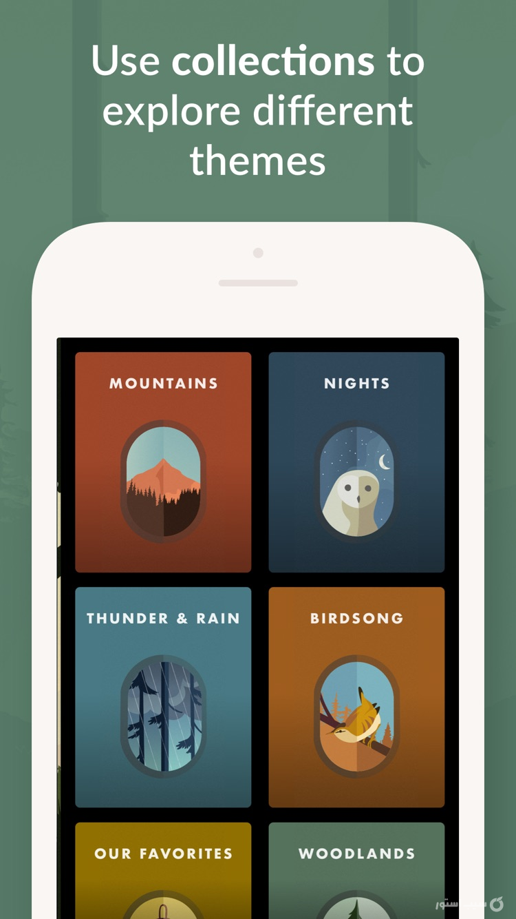 Wild Journey - Nature Sounds ++ screenshot 7