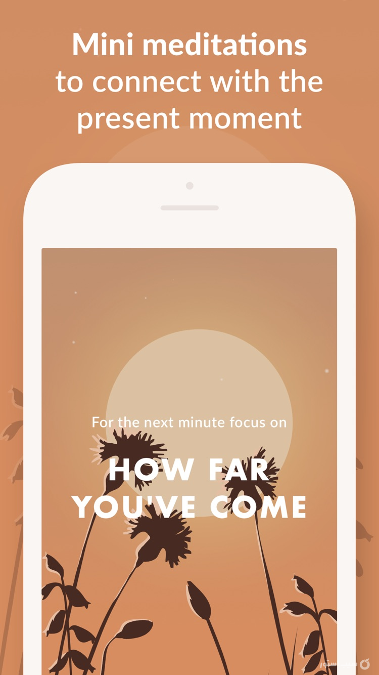 Wild Journey - Nature Sounds ++ screenshot 9