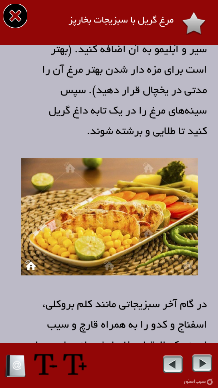 غذاهای رژیمی screenshot 2