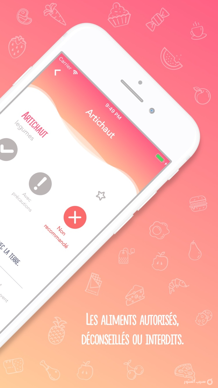 Pregnancy Diet screenshot 2