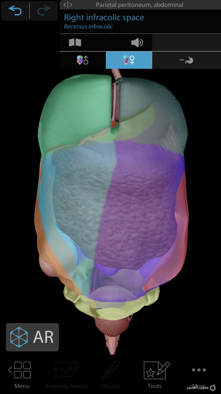 Human Anatomy ++ screenshot 2