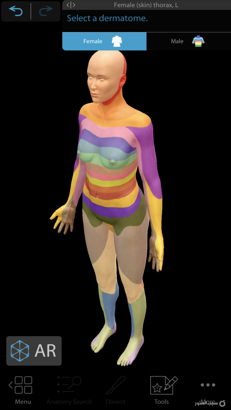 Muscles & Kinesiology screenshot 5