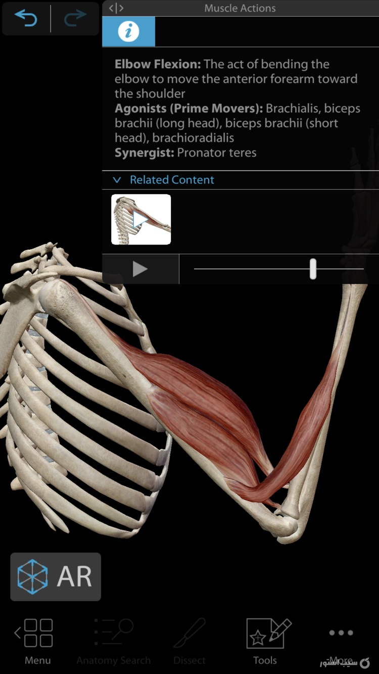 Muscles & Kinesiology screenshot 2