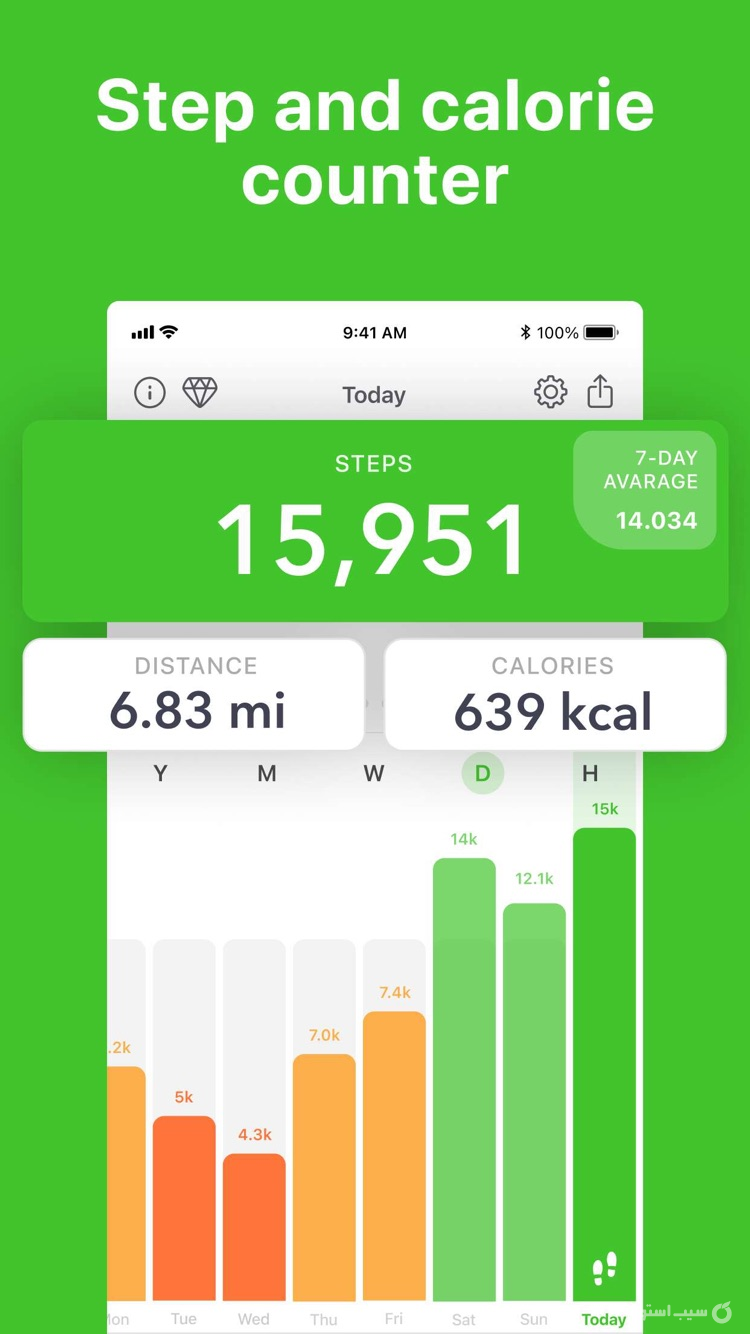 Stepz - Step Counter & Tracker screenshot 1